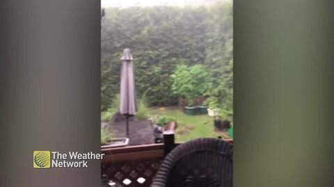 Heavy rain, with small hail, soaks Quebec yard