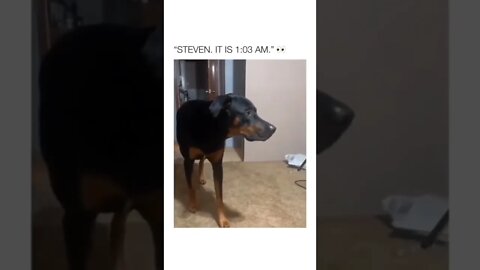 Never too late for food 😂💯 #shorts #shortsvideo #dog