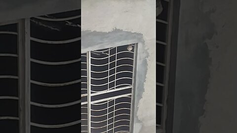 Shy baby owl enjoying the cloudy afternoon, MashAllah