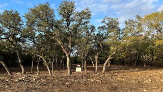 Belle Oaks Lot Tour, after cedar tree's removed, Bulverde Tx