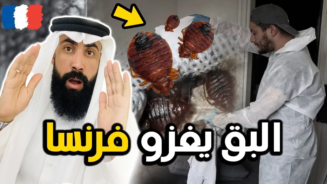 فرنسا تعاني من إنتــشار بقِّ الفراش ... وهل له علاقة بالمهاجرين ! 😮 شاهد عقـ.ـاب الله لفرنسا