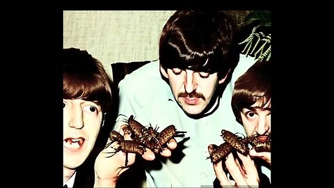 The Beatles, only Eating Beetles (AI)