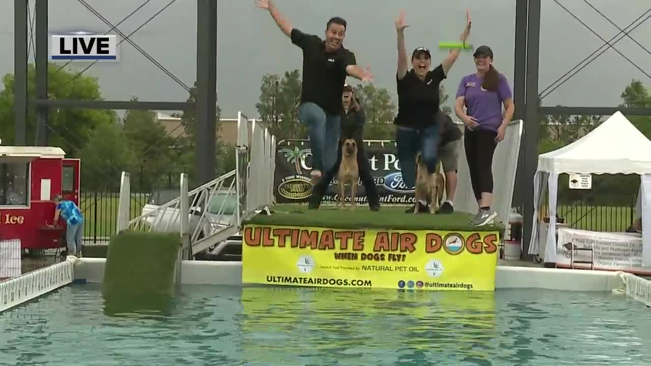 Air Anchors: Trent and Amy test out the air dogs pool