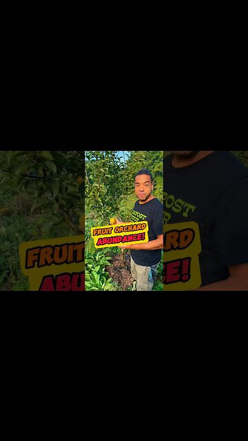 HEALTH Starts In The SOIL! #homesteader #permaculturegarden #garden #homestead #fruit #health #soil