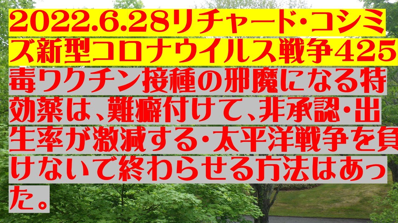 2022.6.２８リチャード・コシミズ新型コロナウイルス戦争４２５