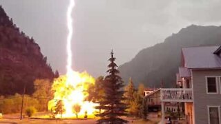 Albero colpito da un fulmine in una casa del Colorado!