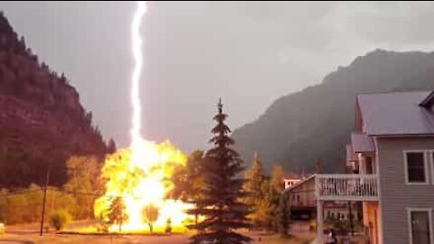 Albero colpito da un fulmine in una casa del Colorado!