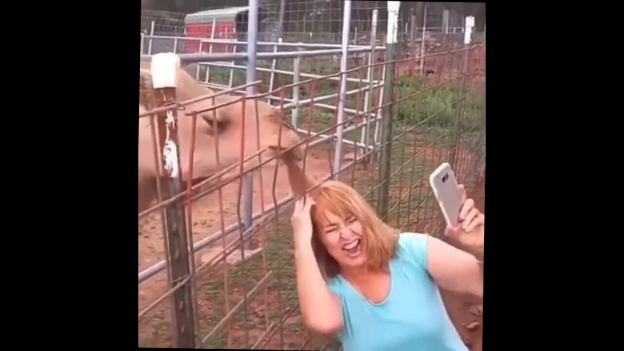 camal takes a hair sample off lady taking selfie.