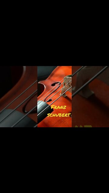 Schubert - Allegro Moderato - Subscribe For More #shorts #schubert #classicalmusic