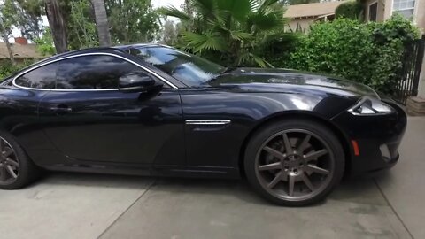 Chest Out Talking Cars