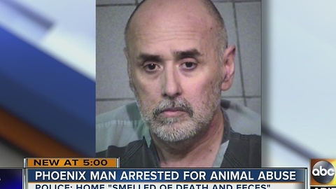 Phoenix police pull dead, neglected animals from home, say 'whole house reeked of death and feces'