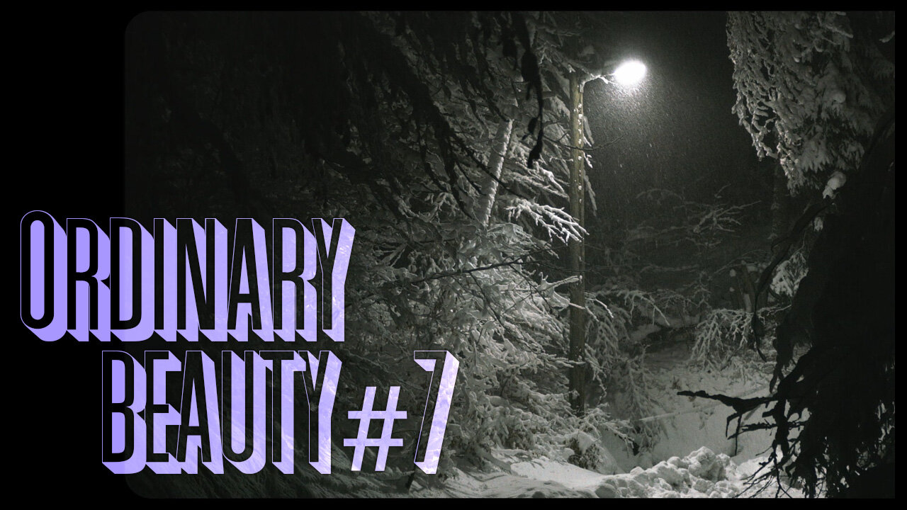 Ordinary Beauty #7 - Deep Winter Night