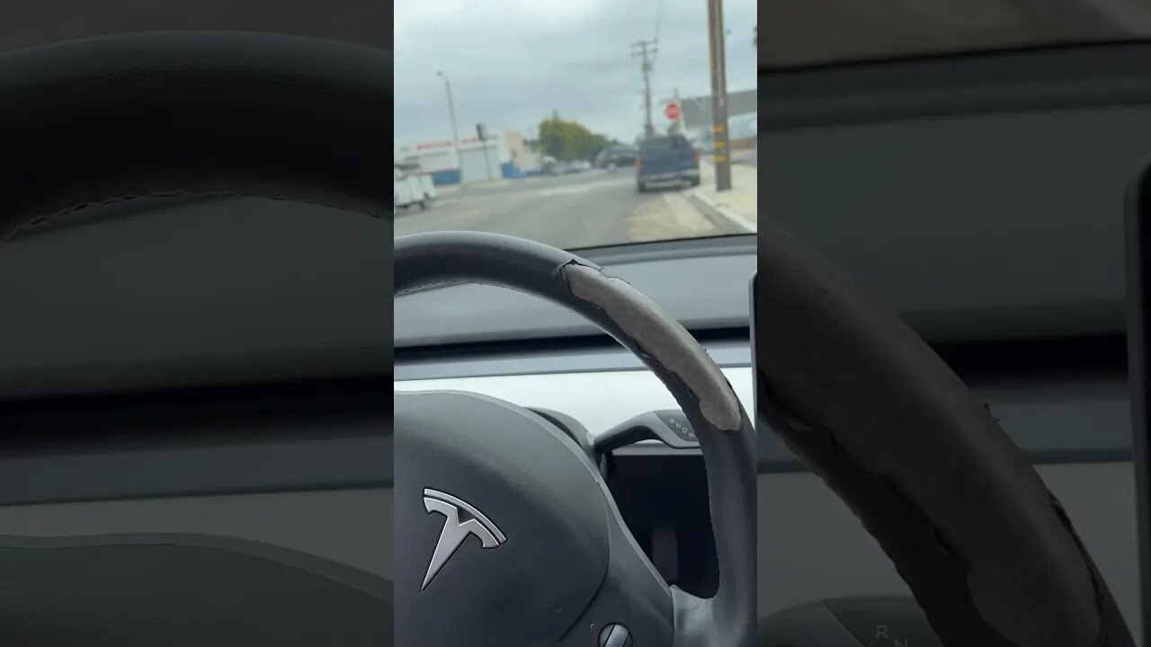 Tesla Model 3 Steering Wheel Peeling Already WTF? 😂 #tesla