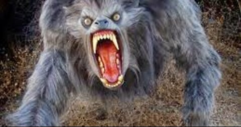 WHAT IS THE TRUTH BEHIND DOGMEN-SKINWALKERS-WEREWOLVES-ROUGAROU*THE DOGMEN HAVE BEEN AWAKENED*