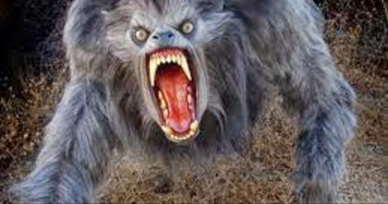 WHAT IS THE TRUTH BEHIND DOGMEN-SKINWALKERS-WEREWOLVES-ROUGAROU*THE DOGMEN HAVE BEEN AWAKENED*