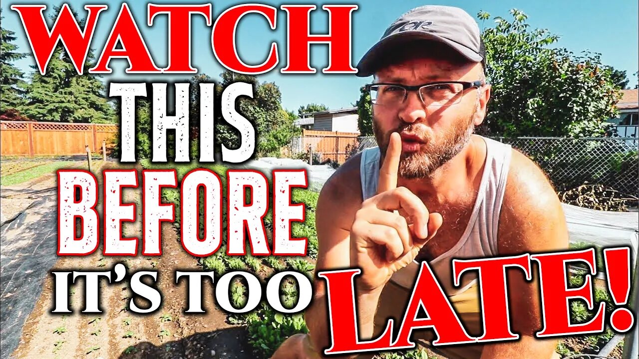 LOOKING For The BEST Property?🕗Curtis Stone Tells You How! • Interview