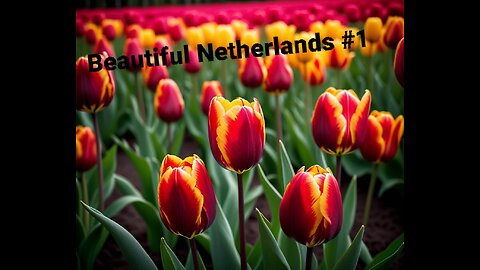 Beautiful Netherlands #1