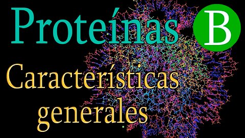 ¿Qué son las Proteínas? | Parte I | Biología Desde Cero