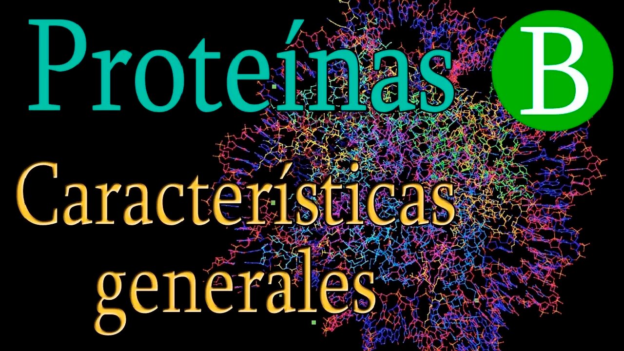 ¿Qué son las Proteínas? | Parte I | Biología Desde Cero