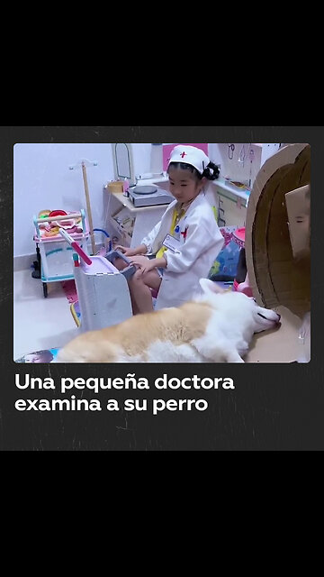 Niña de 5 años simula una tomógrafo para su perro con cajas de cartón