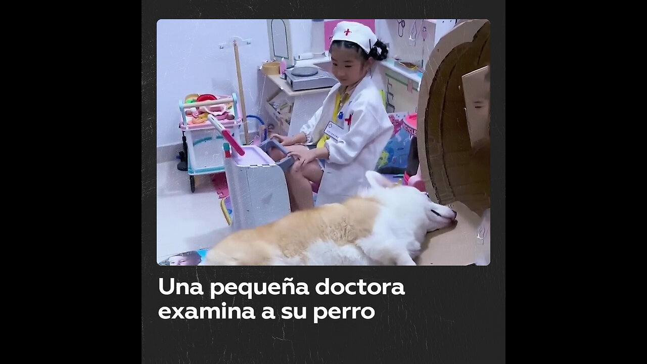 Niña de 5 años simula una tomógrafo para su perro con cajas de cartón