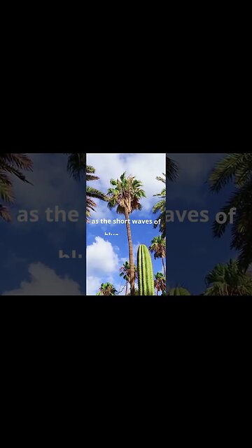 Why sky is blue? #shorts #answers #sky #bluesky #blue #short #answerthefollowers