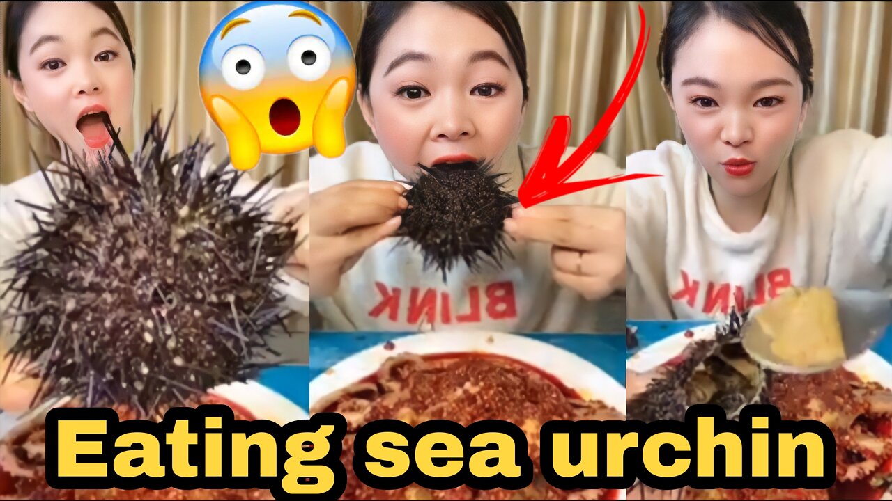 Eating sea urchin😱😱😱