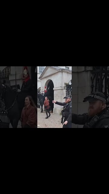 horse must go in side tourist told to move away from the horse #horseguardsparade