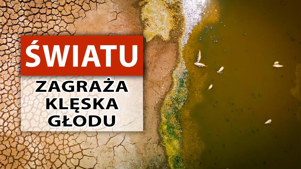 SUSZA 2023: Uwolnienie globalnego kryzysu