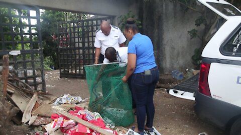 SOUTH AFRICA - Durban - SPCA removes 80 dogs (Videos) (KjV)