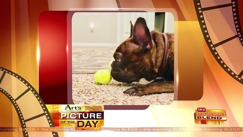 Art's Cameras Plus Picture of the Day for December 9!