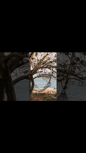 Healing Sounds of Nature: Relaxation Meditation for Depressed Mind