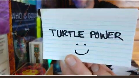 TAURUS SOMEONE TOOK A GAMBLE TURTLE POWER