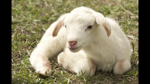 ENCOURAGE YOUR HEART