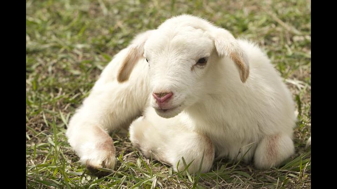 ENCOURAGE YOUR HEART