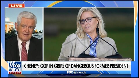 Newt Slams Liz Cheney For Attack On Republicans After Primary Loss