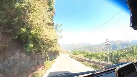 I travel around the world with my dog 2