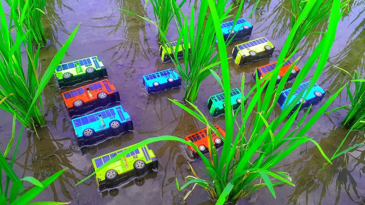 Mencari dan Menemukan Banyak Mainan Bus Tayo, Lani, Gani dan Rogi Yang Terdampar di Tengah Sawah