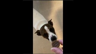 Princess reacts to Burger Minis