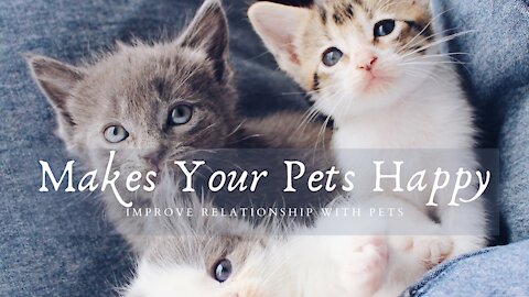 How to Make Your Pets "HAPPY~~~" with few tricks