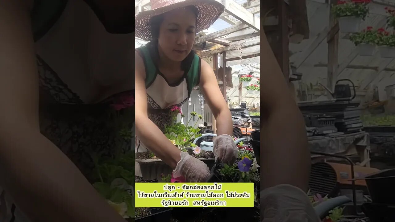 ปลูกดอกไม้ขายในต่างแดน