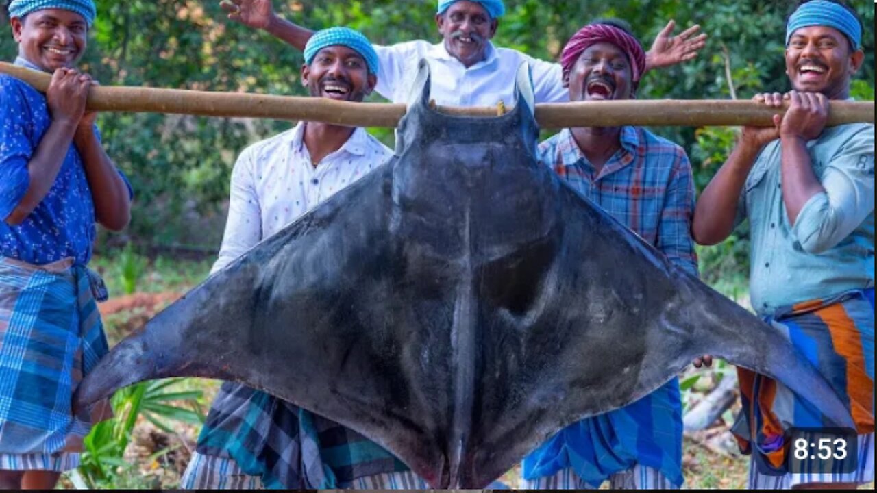 85_kg_MANTA_RAY___Giant_Fish_Cutting_and_Cooking_in_Village___Big_Stingray_Fish___Giant_Manta_Rays