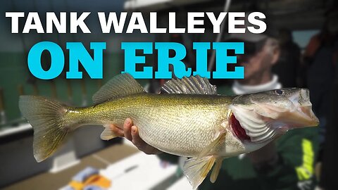 Trolling Crankbaits for Walleyes on Lake Erie