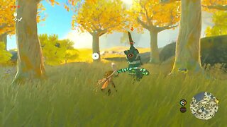 Zelda Tears of the Kingdom - Combat Gameplay