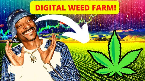 Snoop Dogg Is Introducing Digital Marijuana To The Metaverse!