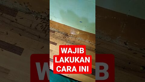 WAJIB LAKUKAN CARA INI