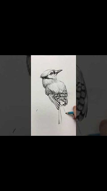 Amazing Pencil Drawing 3D Art | Satisfying Drawing Videos #23