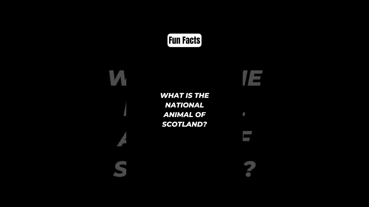 What is the national animal of Scotland? #shorts #funfacts #subscribe