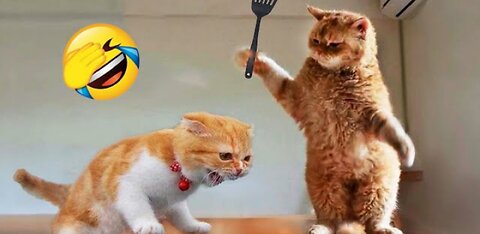 Best Funny Animal Videos (MUST WATCH) 😂