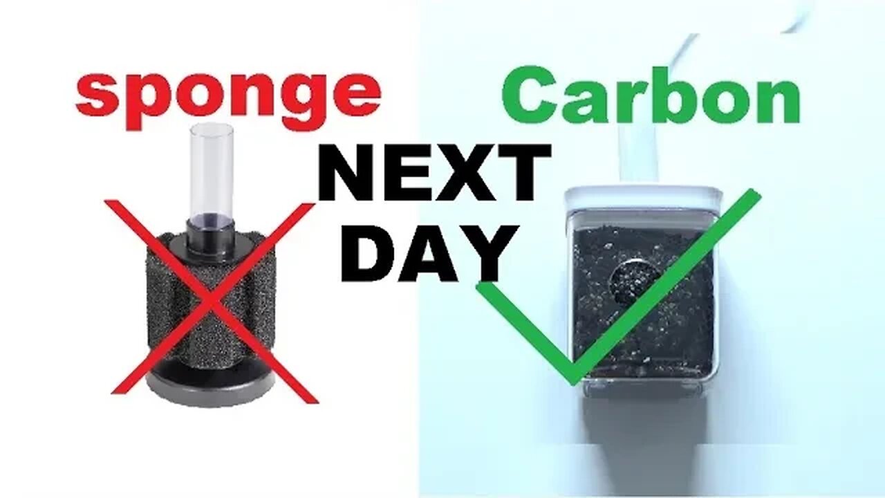 Carbon Filter Next Day Results